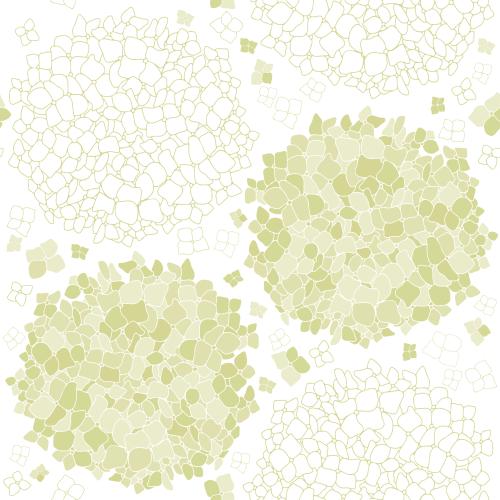 Hydrangea. Vector delicate green hydrangeas on white