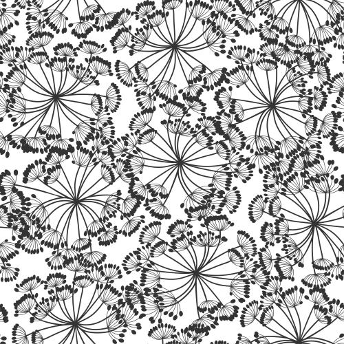 Dill. Vector flower umbrellas black silhouettes on white