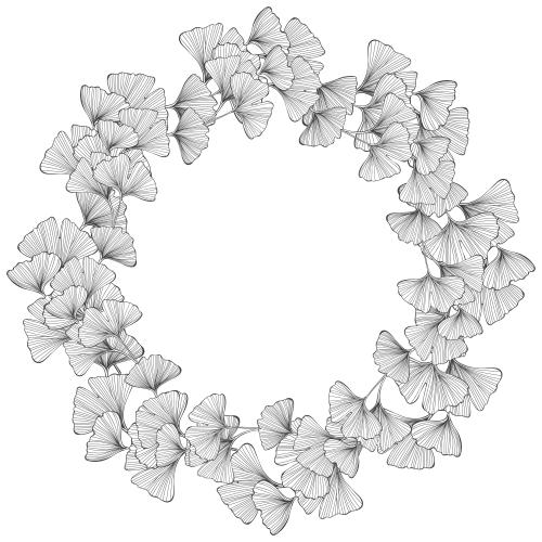 Ginkgo biloba. Vector round frame with ginkgo biloba leaves on white