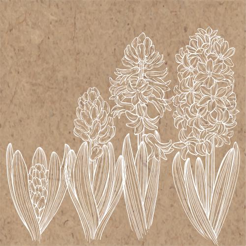 Hyacinth. Vector hyacinths place for text on craft