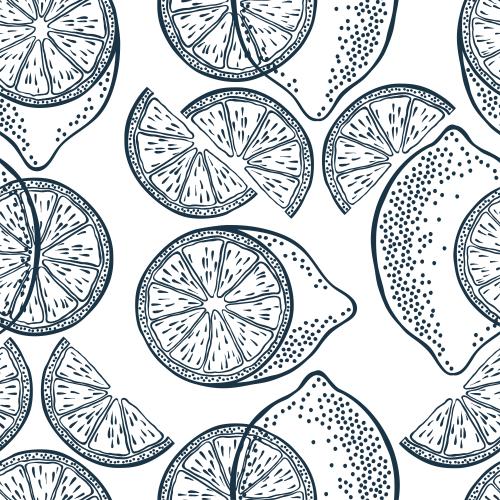 Lemon. Vector lemons contours on white