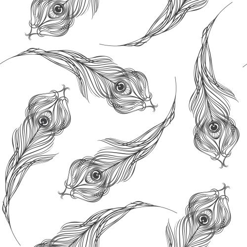 Peacock feather. Vector feathers of the peacock, black silhouettes on white
