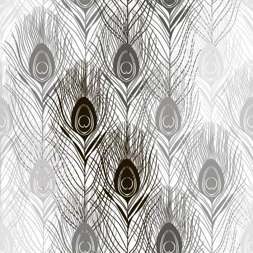 Feather. Vector monochromatic peacock feathers on white