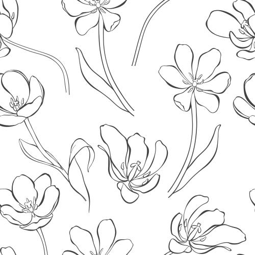 Tulip. Vector tulips contours on white