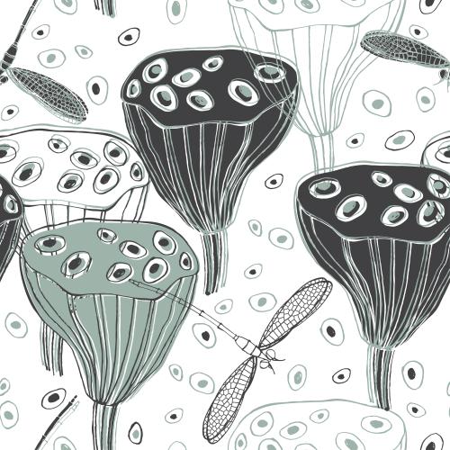 Dragonfly. Vector lotus boxes nelumbo contours and silhouettes decorative elements dragonflies on white