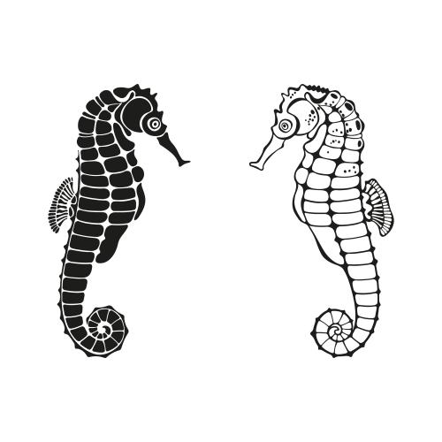 Illustration sea horses black contour and silhouette on white