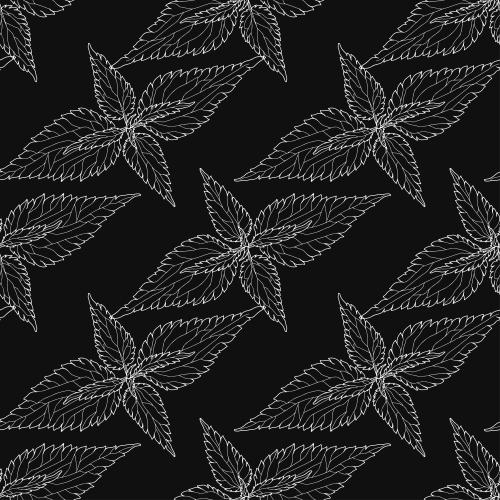 Nettle. Vector nettle, white contours on black