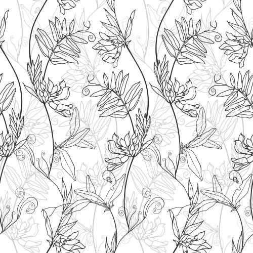 Bindweed. Vector monochrome wild morning glories on white