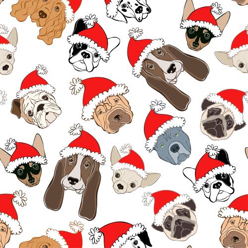 Dog. Vector dog muzzles of different breeds in new year hats on white