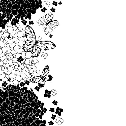Hydrangea. Vector hydrangeas, contours and silhouettes, butterflies, space for text on white