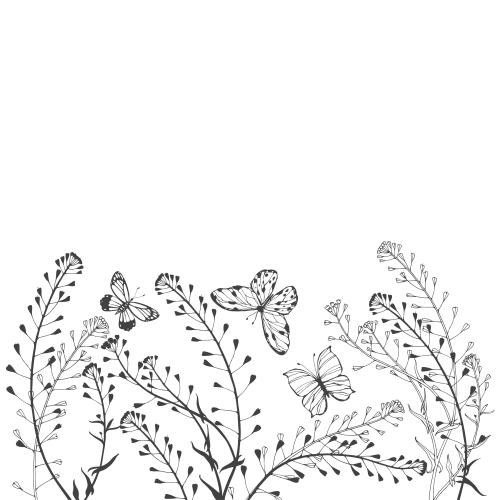 Butterfly. Vector shepherd's bag butterflies and space for text on white