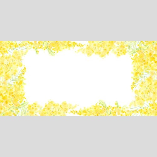 Illustration watercolor mimosa, space for text on white