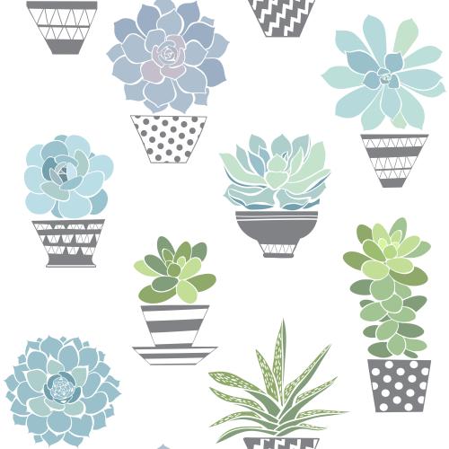 Succulent. Vector succulents in pots, colorful silhouettes on white