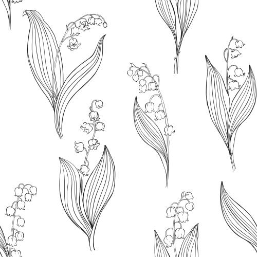 Lily-of-the-valley. Vector lily of the valley, contours on white