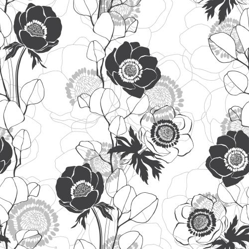 Eucalyptus. Vector anemones and eucalyptus branches, silhouettes and contours on white