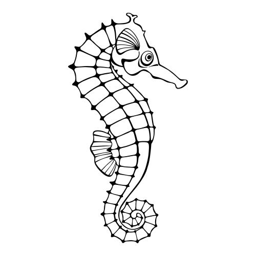Vector image sea horse, black contour on white