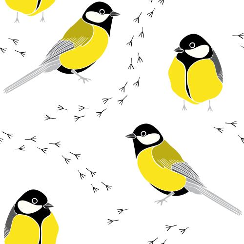 Bird. Vector titmice and paw prints on white