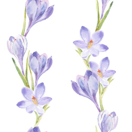 Raster image watercolor crocus on white
