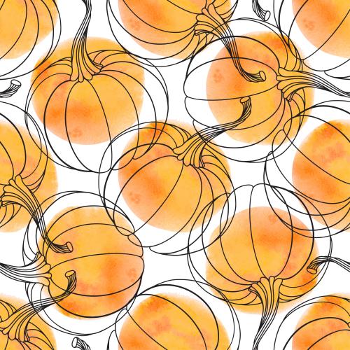 Pumpkin. Vector pumpkins black outlines and orange watercolor fragments on white