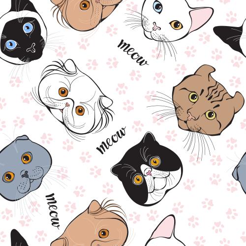 Vector image cute cat faces of different breeds pink paw prints and meow writings on white