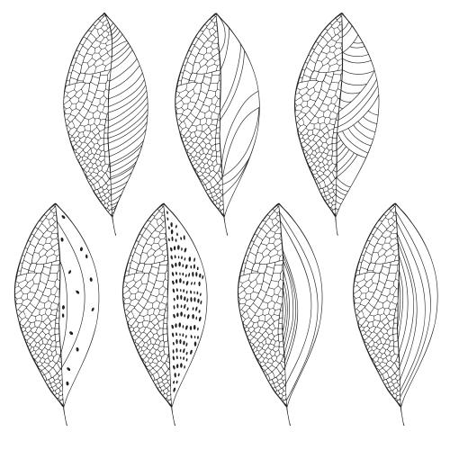 Illustration stylized leaves on white, seven options