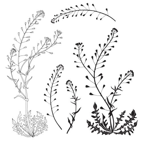 Vector for tableware Printing shepherd's bag, white options