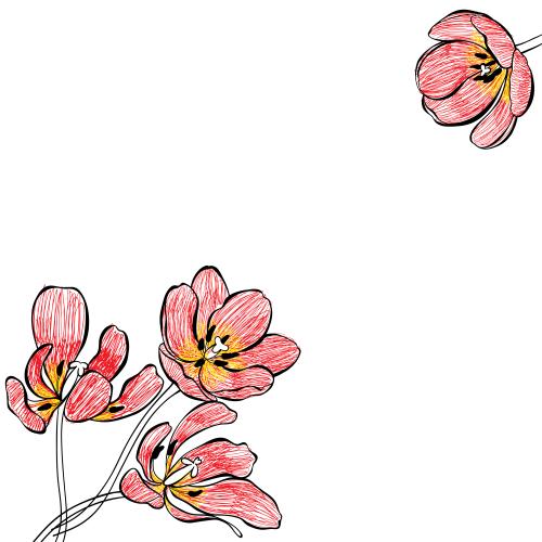 Tulip. Vector tulips place for text on white corner composition