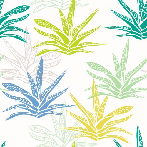 Illustration succulents, multicolored silhouettes and contours on white