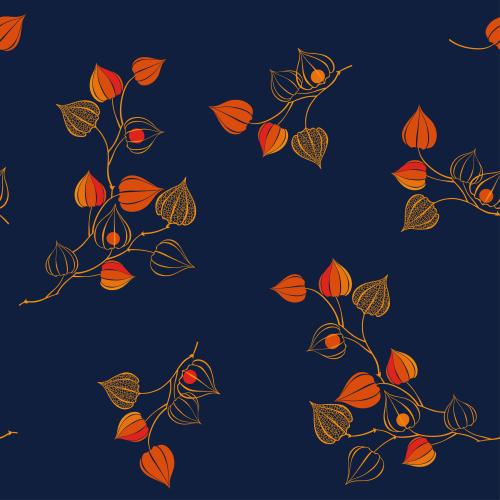 Autumn. Vector vivid physalis branches on blue