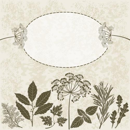Basil. Vector culinary herbs oval frame with text space on textured light