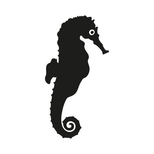 Illustration sea horse, black silhouette on white