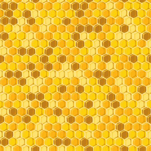Honeycombs. Vector colorful honeycombs silhouettes and contours