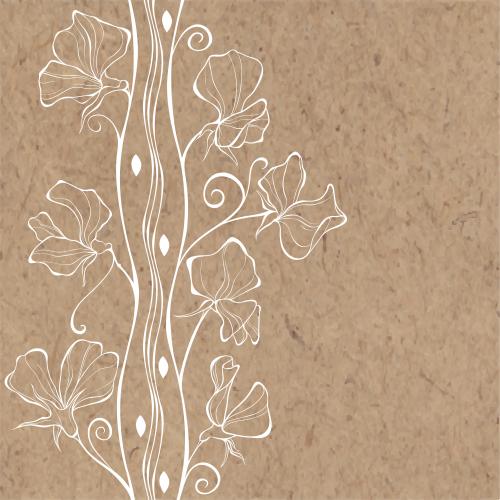 Sweet pea. Vector fragrant peas, white flower contours, vertical wavy lines, text area on craft