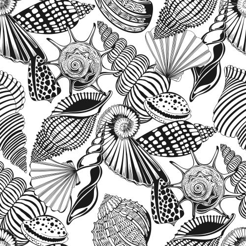 Nautilus. Vector shells, nautiluses, comb shells on white