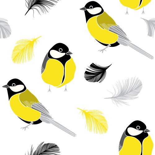 Bird. Vector Pattern titmice and feathers on white