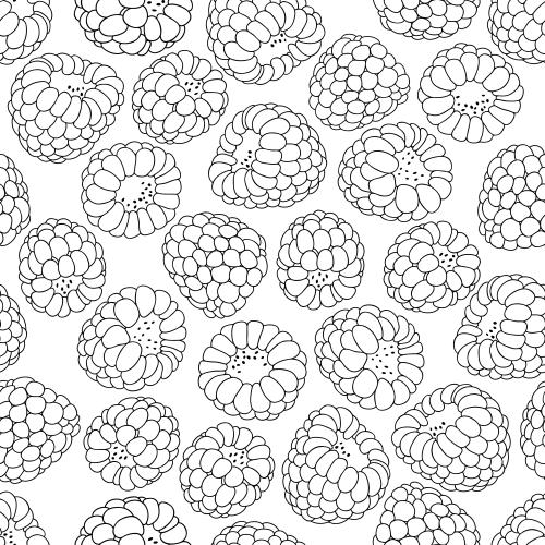 Berry. Vector raspberries, black contours on white