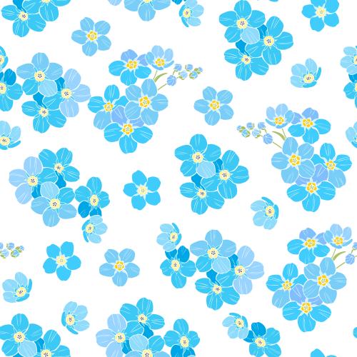 Forget-me-not. Vector forget-me-nots on white