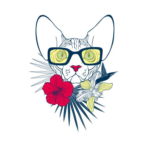 Sphinx cat. Vector sphinx cat in sunglasses surrounded by palm leaves flowers of orchid and hibiscus with a hummingbird on white