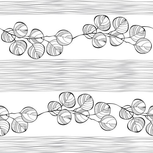 Eucalyptus. Vector contour decorative eucalyptus twigs stripes of horizontal lines on white
