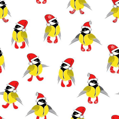 Titmouse. Vector sparrows in new year hats and socks on white