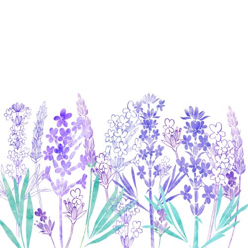 Raster image watercolor lavender place for text on white