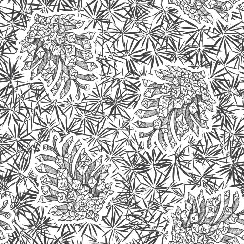 Cone. Vector pine cones and needles
