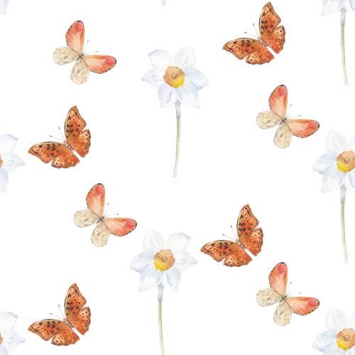 Raster image daffodils and butterflies on white