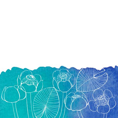 Water lily. Vector water lilies and leaves on a blue-green fragment space for text on white