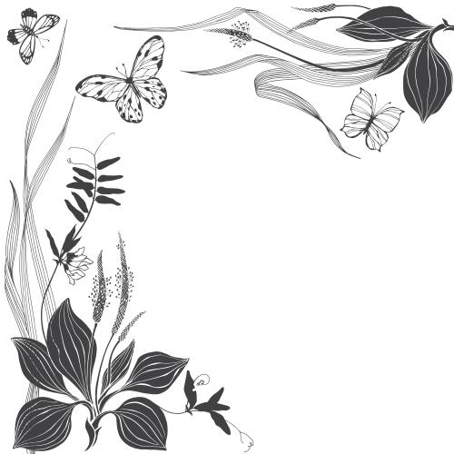 Illustration plantain meadow grasses butterflies and space for text on white corner composition