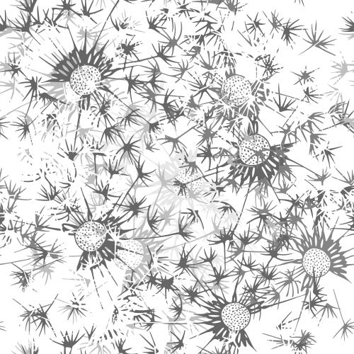 Dandelion. Vector dandelions on white