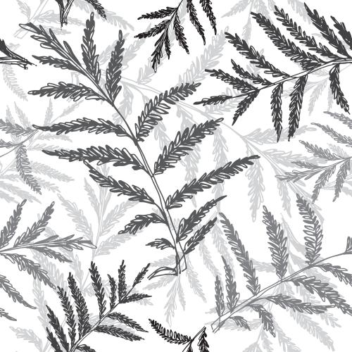 Fern. Vector monochrome fern branches on white