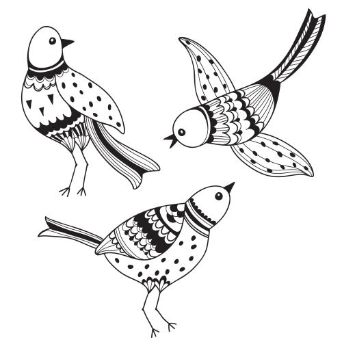 Vector image three cartoon birds on white