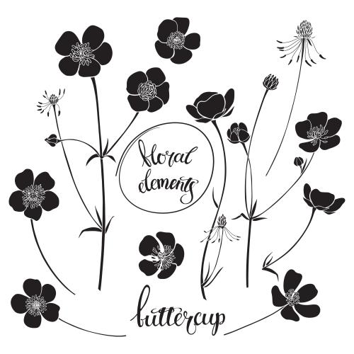 Buttercup. Vector lucky silhouettes on white