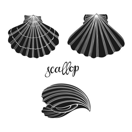Scallop. Vector combs silhouettes on white, three options